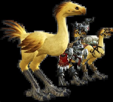 ff14 chocobo names